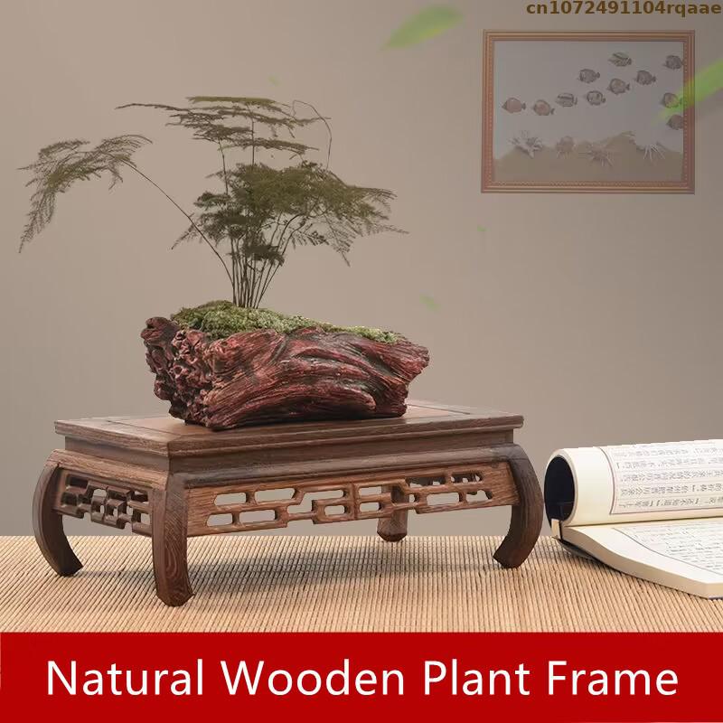 Premium Wooden Bases Bonsai Ho - Coffee Tea For Plants ulasan dan harga