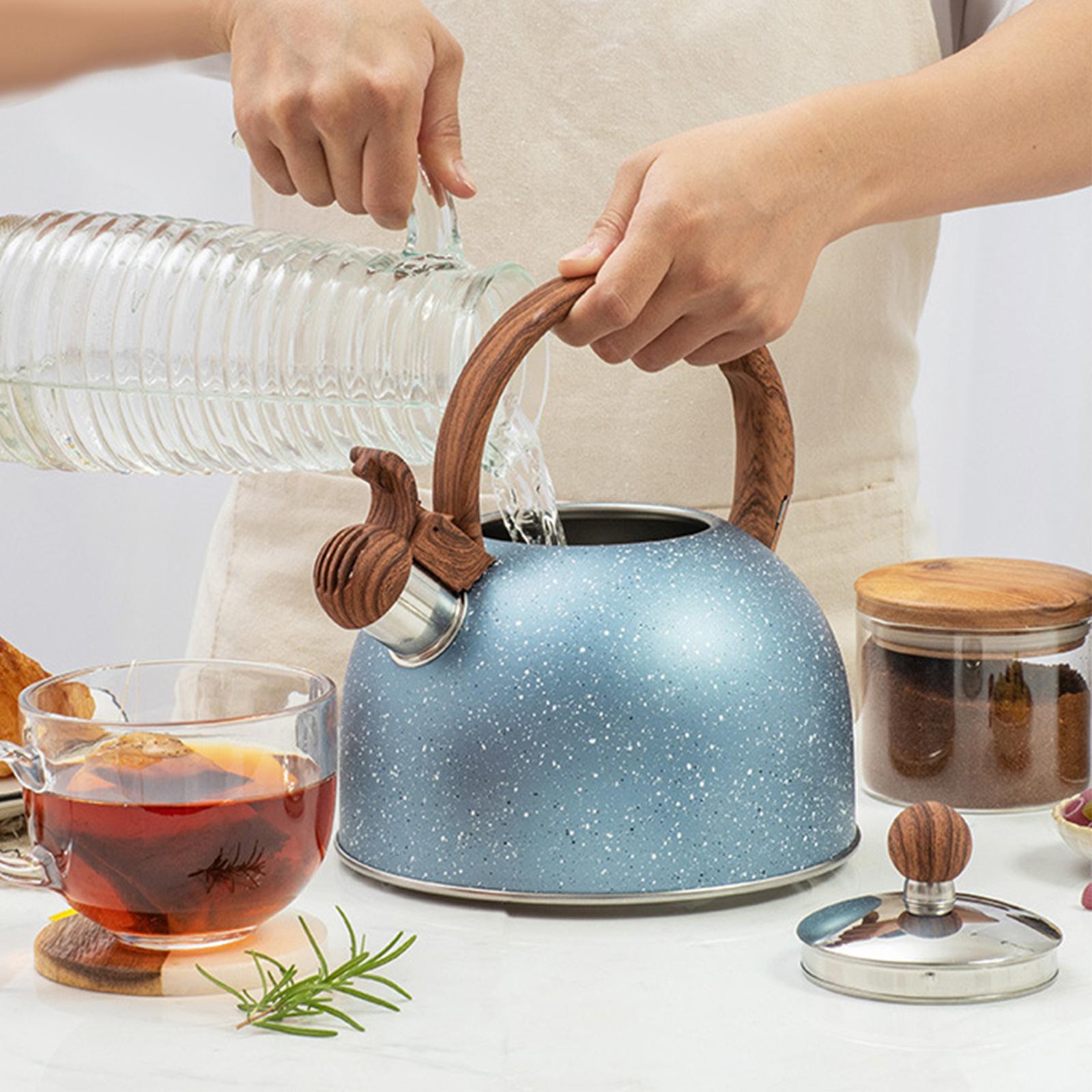 Kettle Stovetop Tea Kettle Wat - Coffee Tea Etc ulasan dan harga